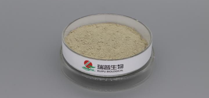 Ferrous Gluconate