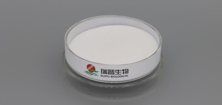 Sodium Malate
